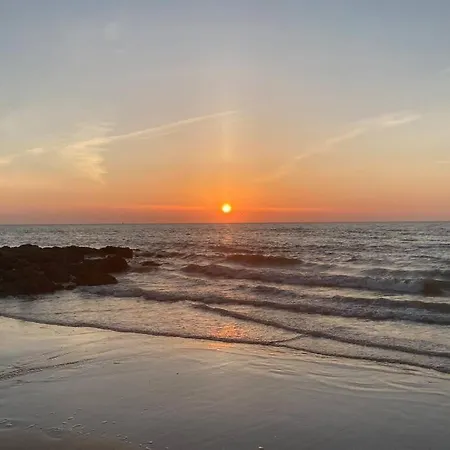 Luxury Seaview - Large Terrace- Swimming Pool - Parking Daire Oostende