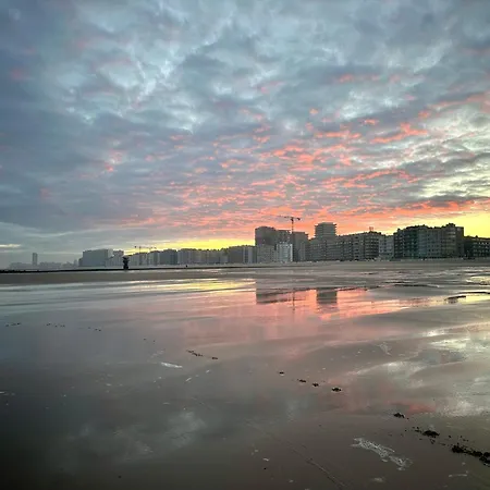 Luxury Seaview - Large Terrace- Swimming Pool - Parking *