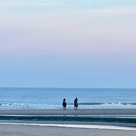Luxury Seaview - Large Terrace- Swimming Pool - Parking
