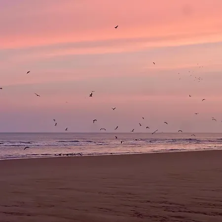 Luxury Seaview - Large Terrace- Swimming Pool - Parking Appartamento *